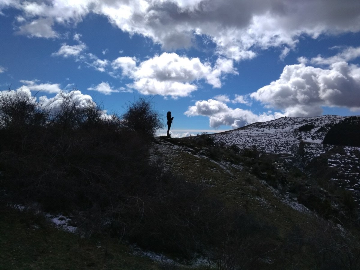 Oda a les primeres&nbsp;canes